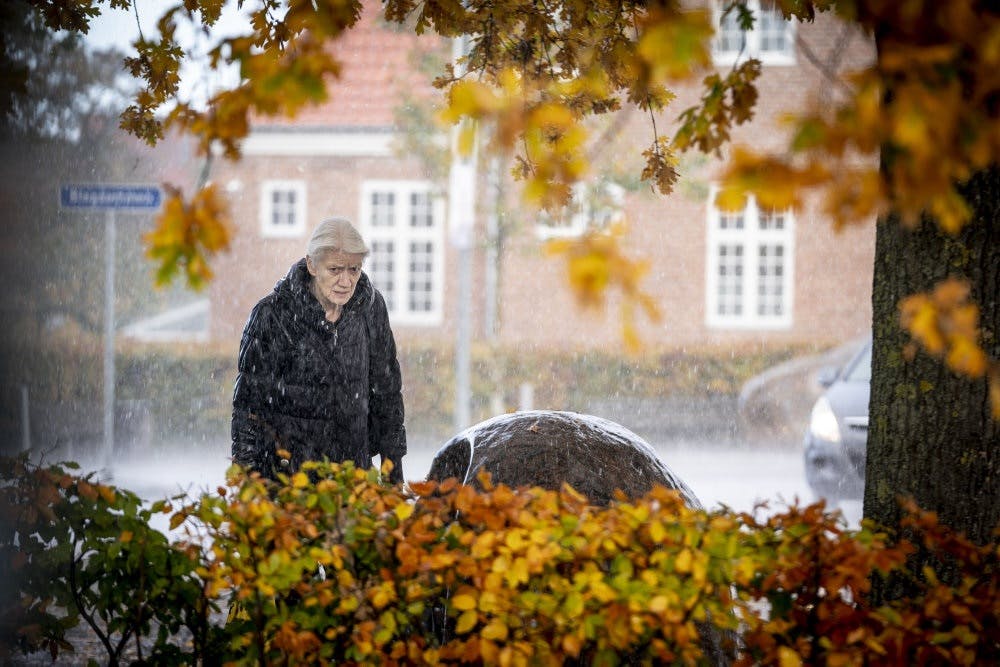 Temperaturen vil de fleste dage denne uge ligge på 10-11 grader. (Arkivfoto). - Foto: Mads Claus Rasmussen/Ritzau Scanpix
