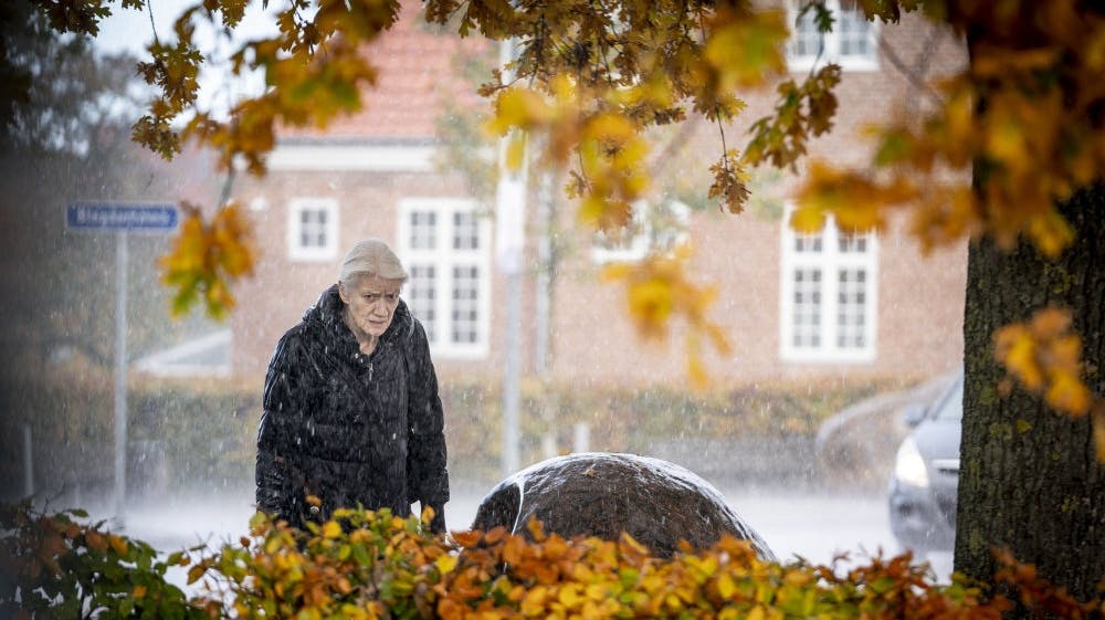 Temperaturen vil de fleste dage denne uge ligge på 10-11 grader. (Arkivfoto). - Foto: Mads Claus Rasmussen/Ritzau Scanpix