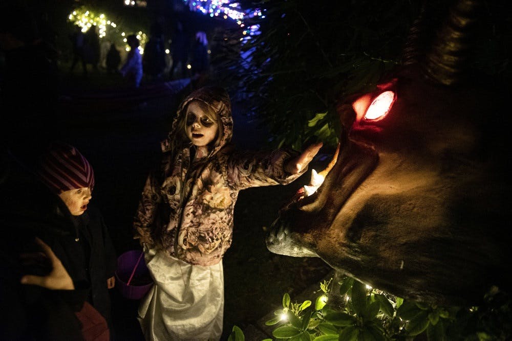 Der er tradition for, at børn klæder sig ud til Halloween og går rundt til naboer i håb om at få lidt slik. (Arkivfoto). - Foto: Ida Guldbæk Arentsen/Ritzau Scanpix