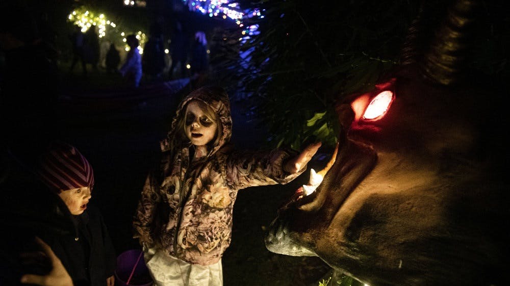 Der er tradition for, at børn klæder sig ud til Halloween og går rundt til naboer i håb om at få lidt slik. (Arkivfoto). - Foto: Ida Guldbæk Arentsen/Ritzau Scanpix