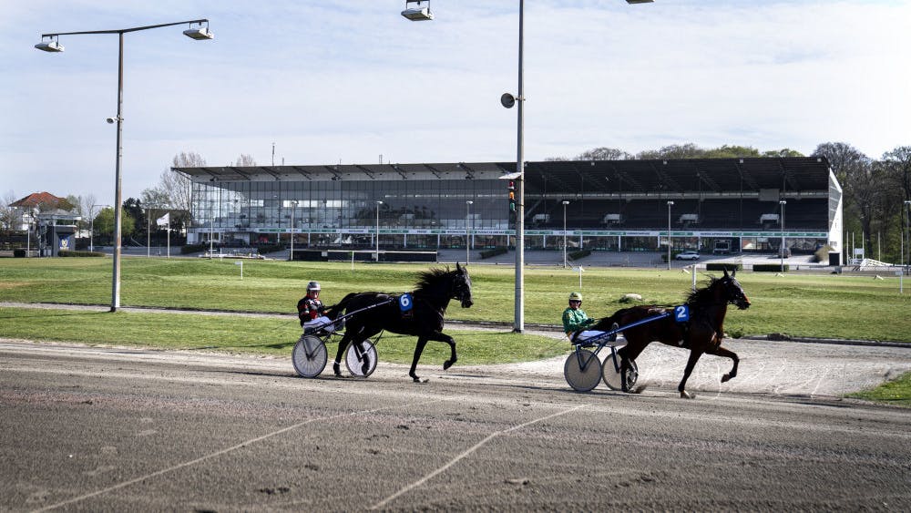 Charlottenlund Travbane har eksisteret siden 1891. I Dansk Hestevæddeløbs nye vision vil man lukke den historiske bane. (Arkivfoto).