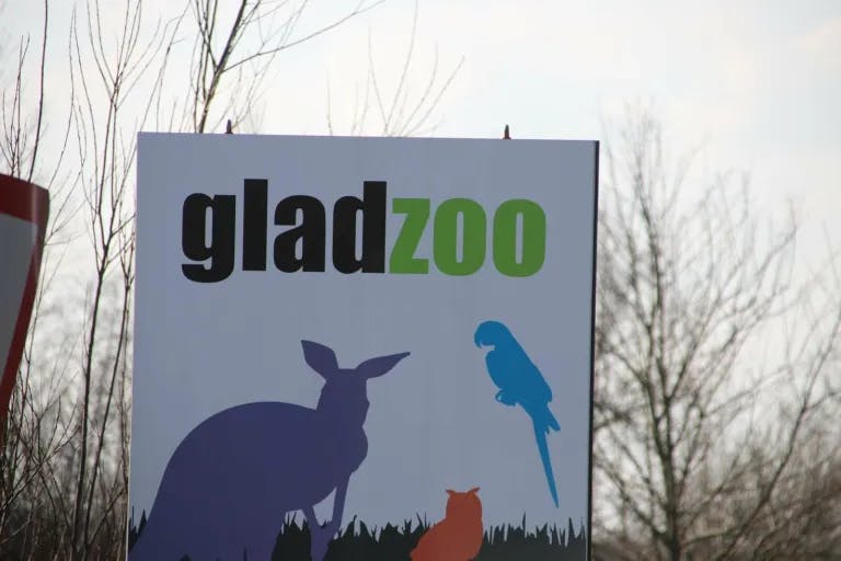 https://imgix.seoghoer.dk/2025-11-18/Glad-Zoo-%28Foto---Presse-fotos.png