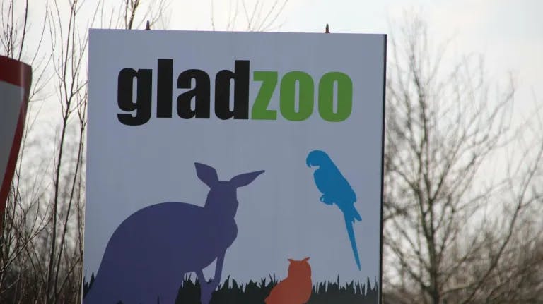 Ifølge politiet havde en leder et seksuelt forhold med en mindreårig pige, der studerede hos Glad Zoo. Her arbejder personer med fysiske og kognitive handicap.