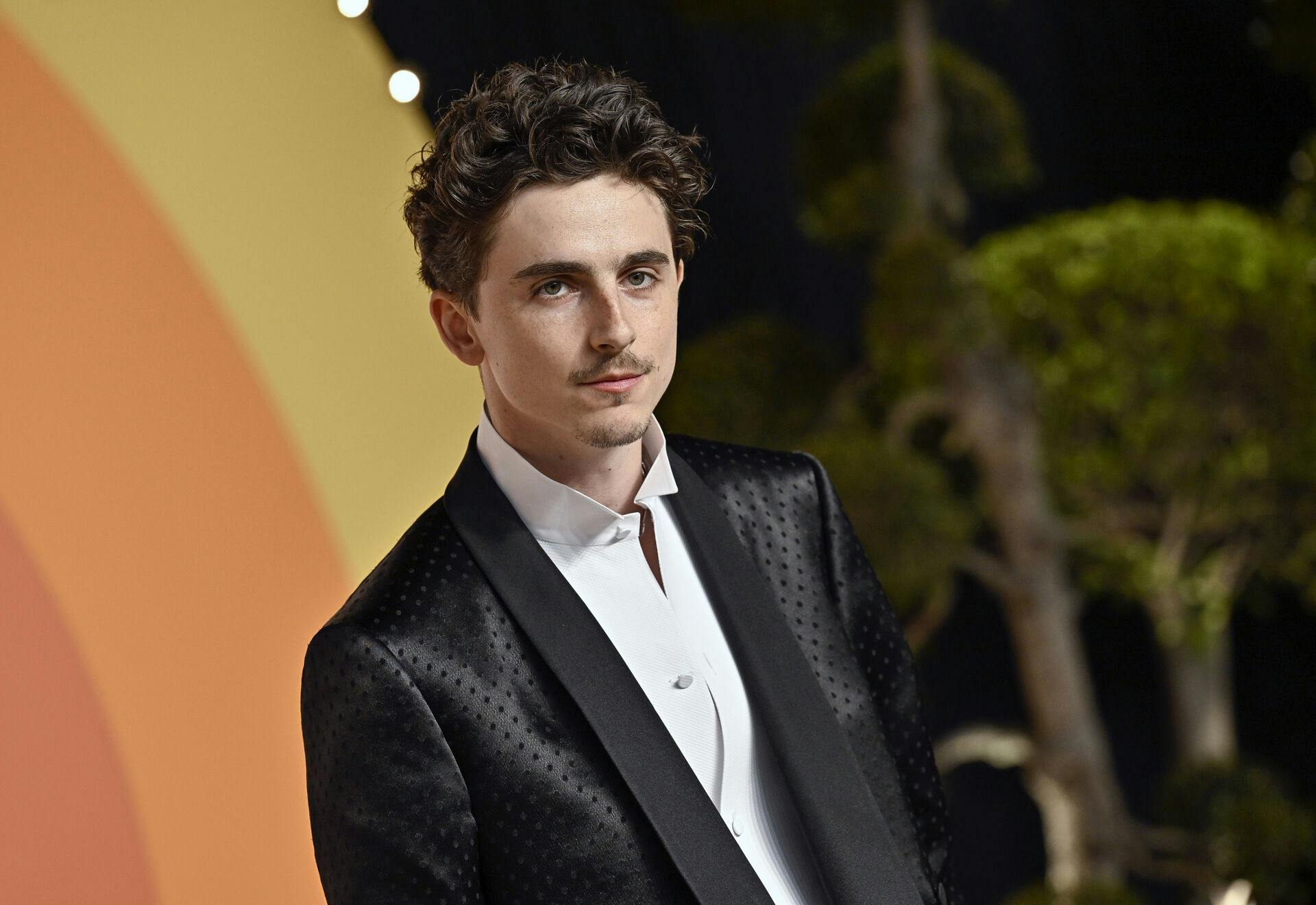 Timothee Chalamet arrives at the Vanity Fair Oscar Party on Sunday, March 2, 2025, at the Wallis Annenberg Center for the Performing Arts in Beverly Hills, Calif. (Photo by Evan Agostini/Invision/AP)
