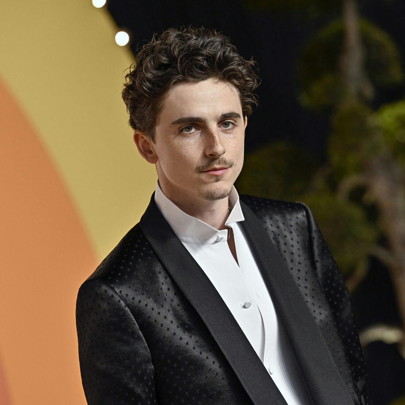 Timothee Chalamet arrives at the Vanity Fair Oscar Party on Sunday, March 2, 2025, at the Wallis Annenberg Center for the Performing Arts in Beverly Hills, Calif. (Photo by Evan Agostini/Invision/AP)