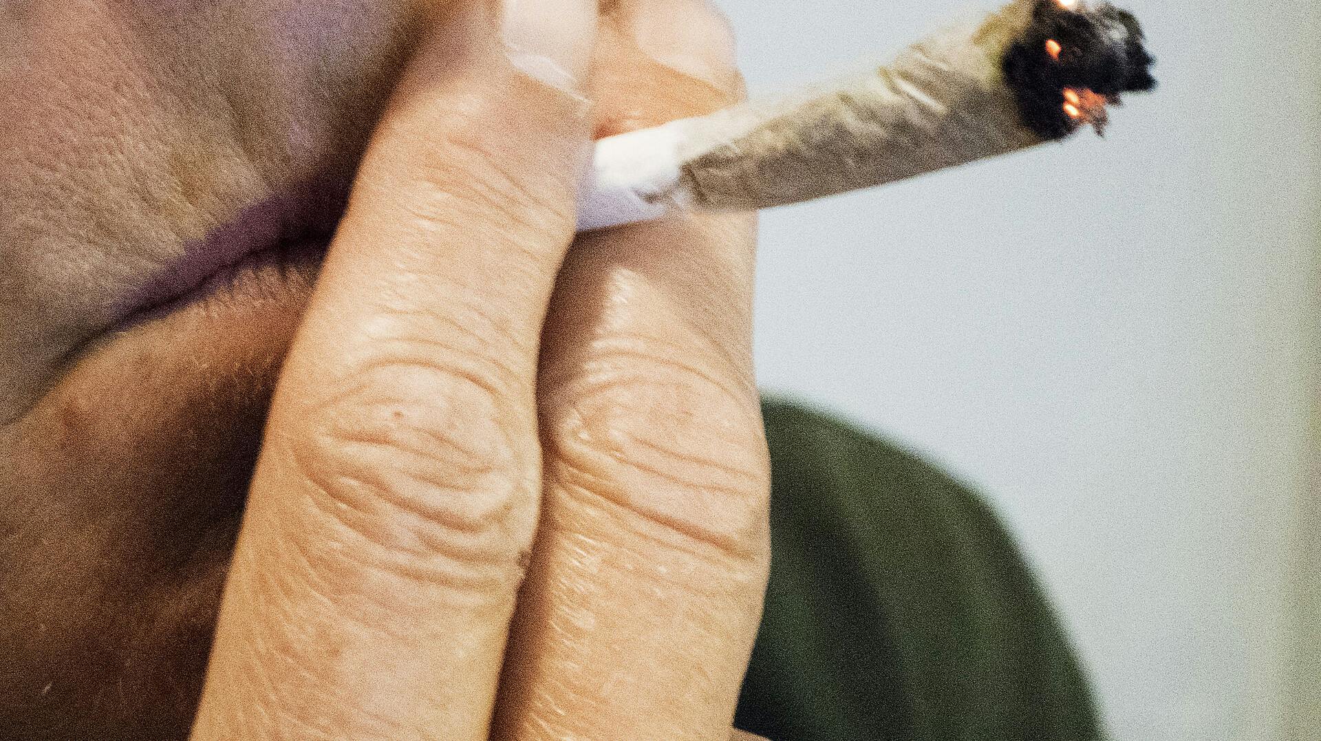 Joint fotograferet den 19. juli 2018.