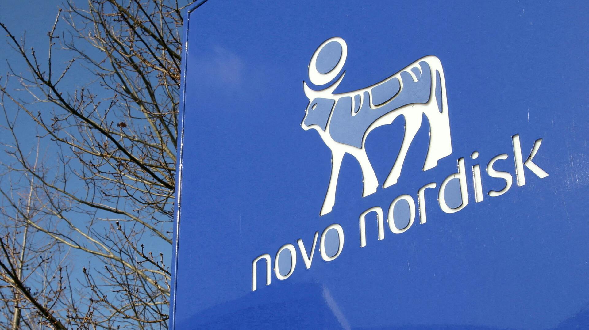 FILE PHOTO: A view shows the logo of Novo Nordisk at the company's office in Bagsvaerd, on the outskirts of Copenhagen, Denmark, March 8, 2024. REUTERS/Tom Little/File Photo
