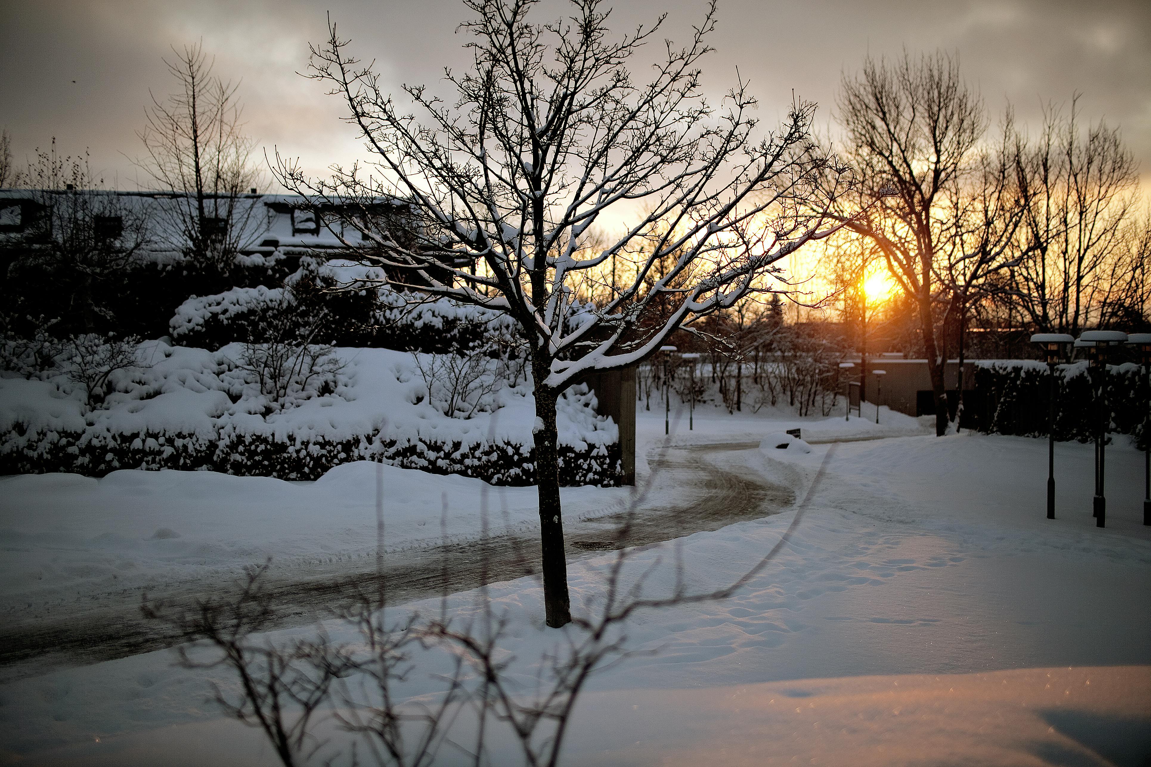 Der har ikke været en landsdækkende hvid jul siden 2010. 