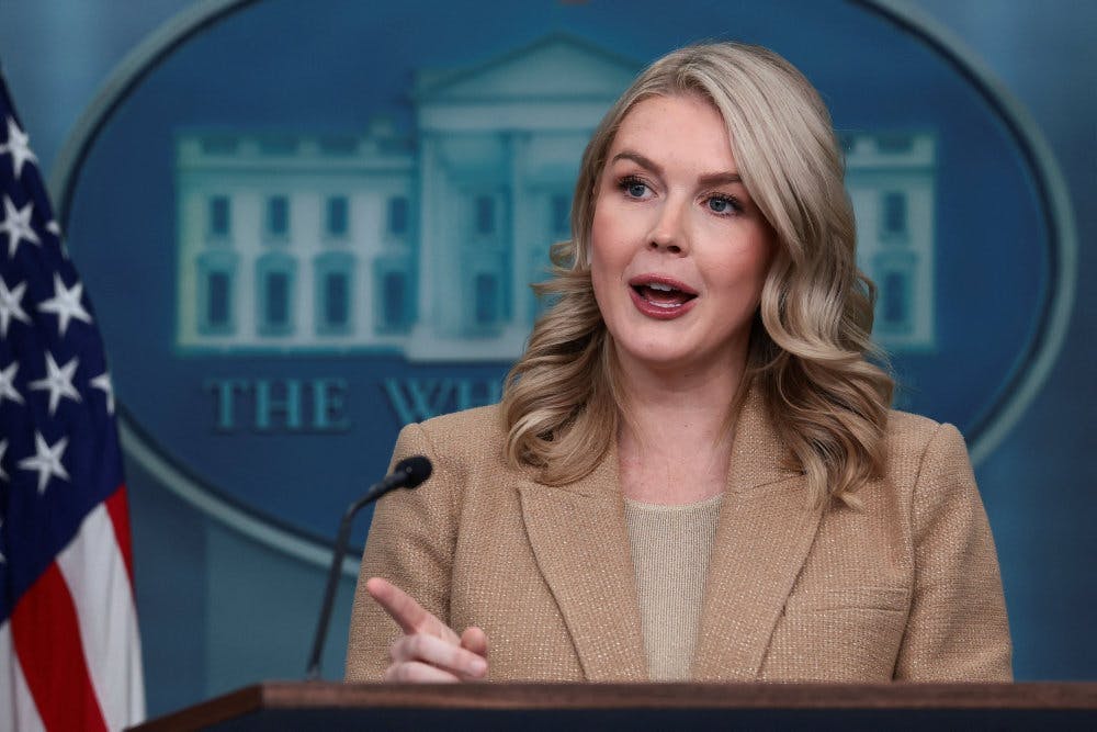 En 33-årig brasiliansk kvinde, der har en familiær relation til Trump-talskvinde, er blevet beordret løsladt efter tilbageholdelse af ICE. Det er ifølge unavngiven kilde flere år siden, at kvinden og Karoline Leavitt har talt sammen. (Arkivfoto). - F