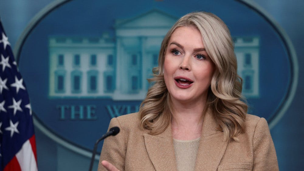 En 33-årig brasiliansk kvinde, der har en familiær relation til Trump-talskvinde, er blevet beordret løsladt efter tilbageholdelse af ICE. Det er ifølge unavngiven kilde flere år siden, at kvinden og Karoline Leavitt har talt sammen. (Arkivfoto). - F