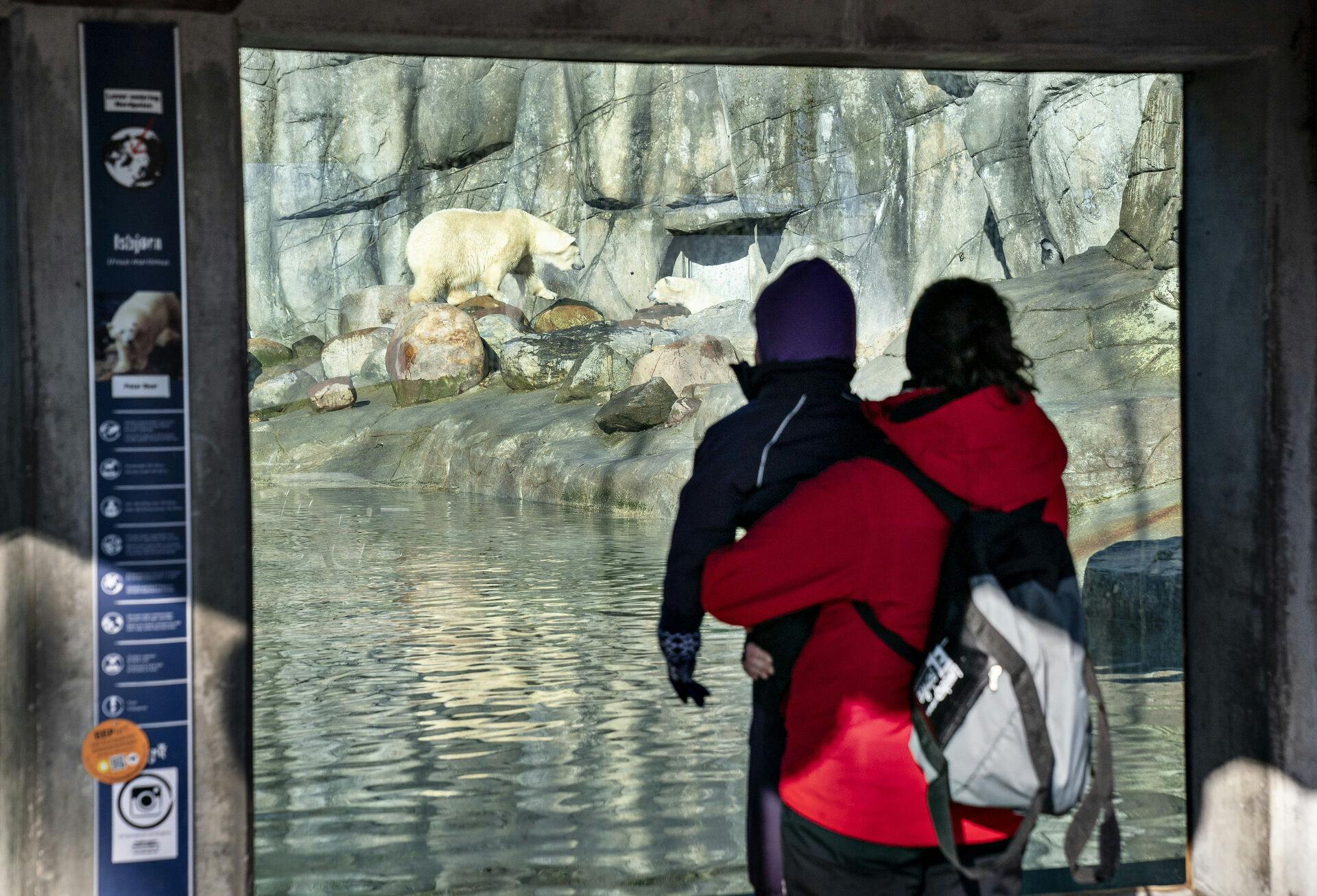 Det er uvist, hvorfor toppen af den nordjyske zoo nu har valgt at tage deres gode tøj og gå.