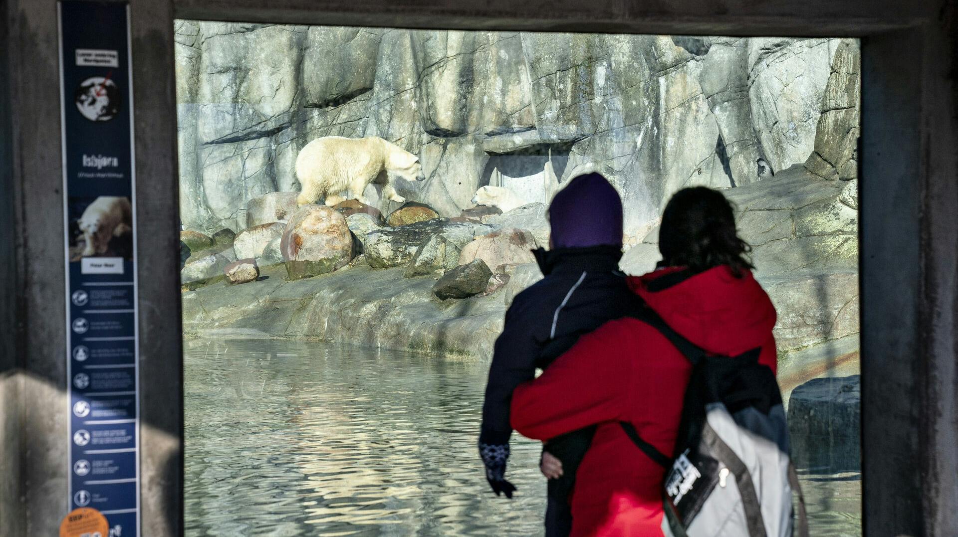 Det er uvist, hvorfor toppen af den nordjyske zoo nu har valgt at tage deres gode tøj og gå.