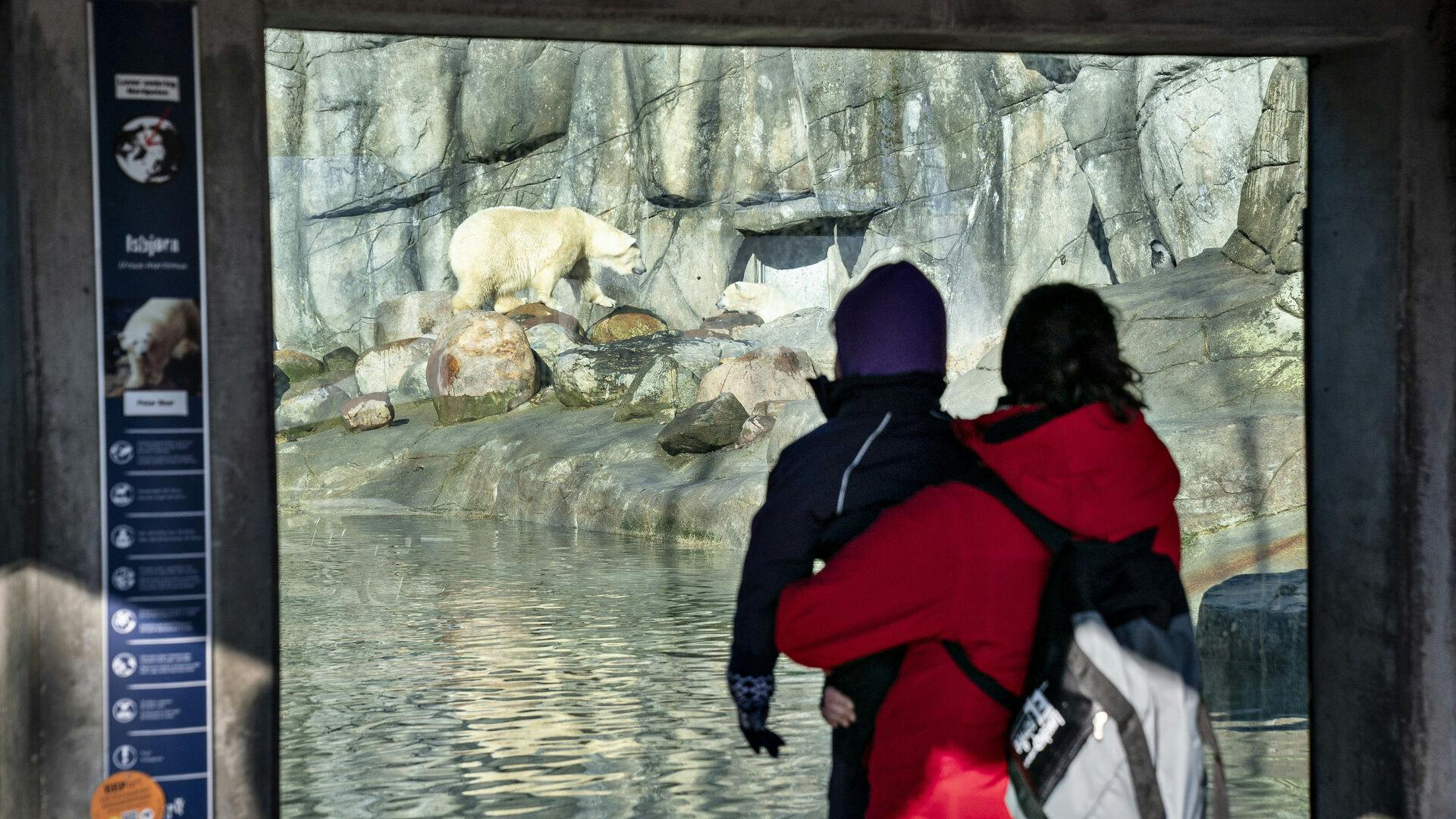 Det er uvist, hvorfor toppen af den nordjyske zoo nu har valgt at tage deres gode tøj og gå.
