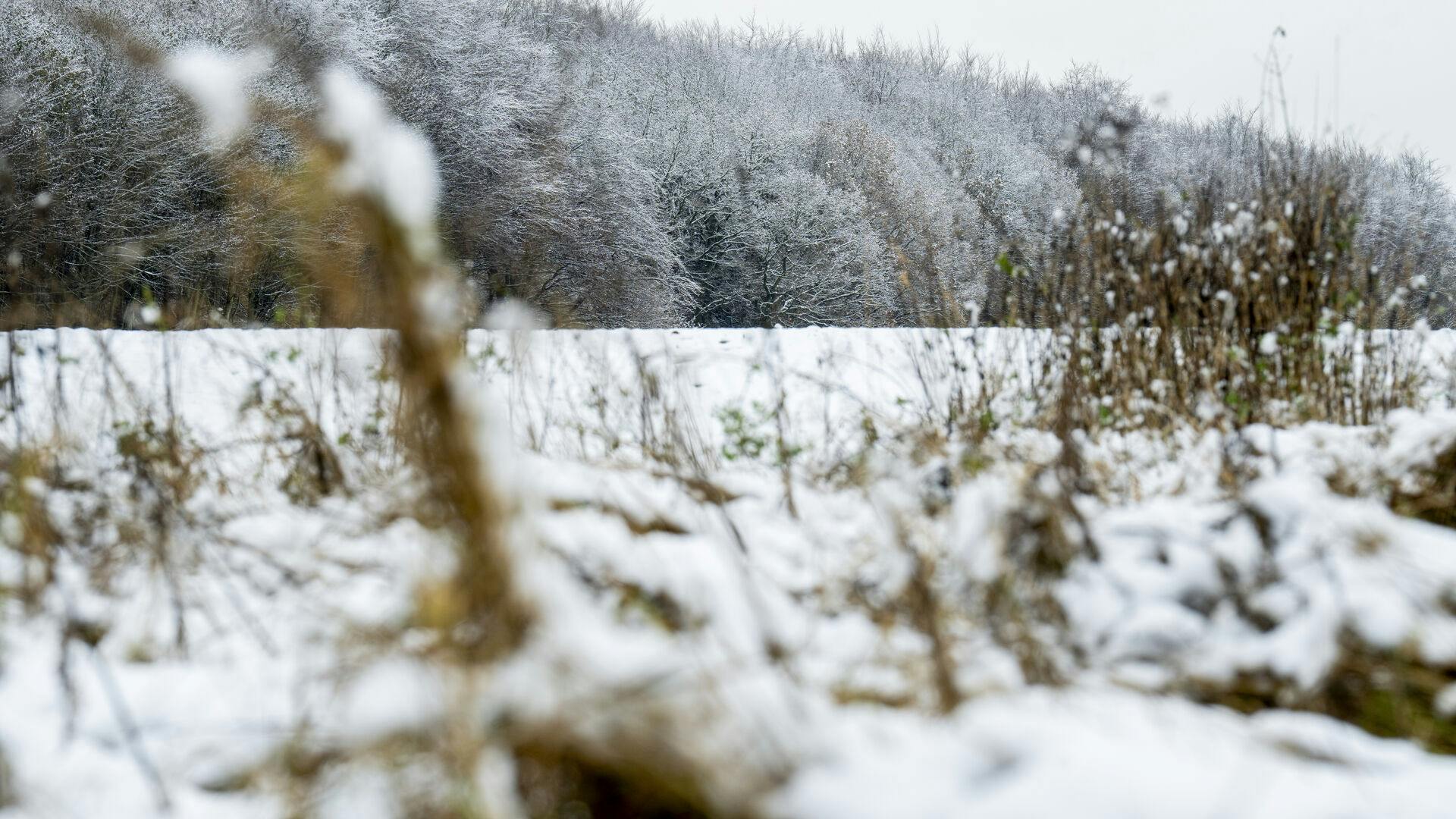 Fremtidens jul bliver mere våd end hvid.