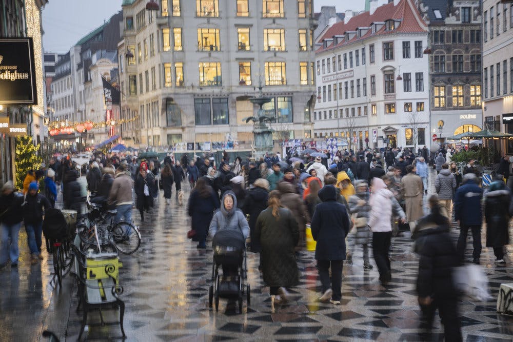 Det ligner virkelig ikke, at der er den mindste chance for en hvid jul, siger meteorolog fredag. Danmark har ikke set nattefrost siden november, fortæller han. (Arkivfoto). - Foto: Sebastian Elias Uth/Ritzau Scanpix