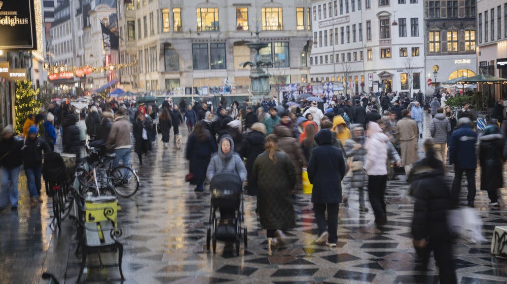 Det ligner virkelig ikke, at der er den mindste chance for en hvid jul, siger meteorolog fredag. Danmark har ikke set nattefrost siden november, fortæller han. (Arkivfoto). - Foto: Sebastian Elias Uth/Ritzau Scanpix