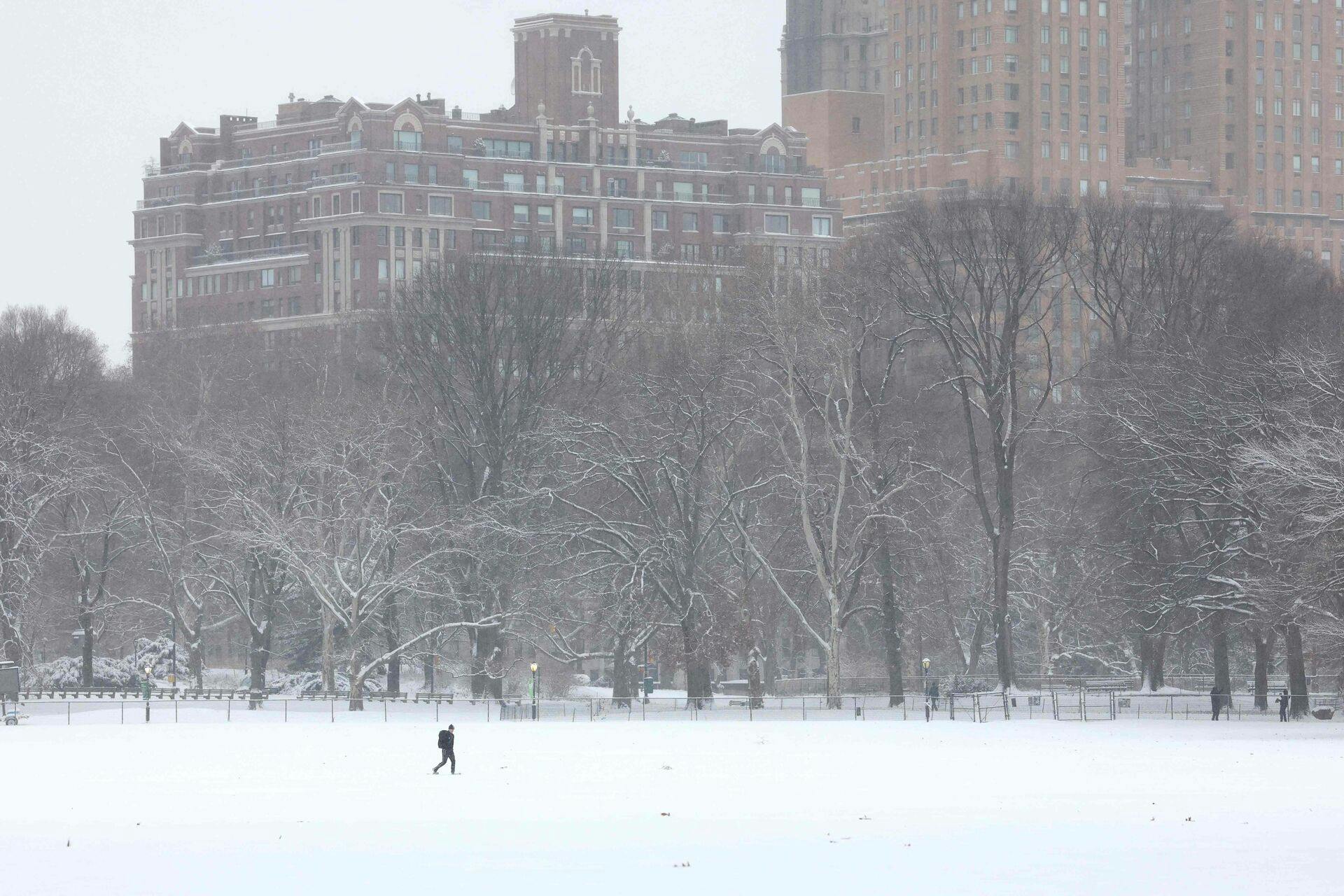 I New York har de i den grad ikke haft samme problemer med at få en hvid jul, som vi har haft i Danmark i år.