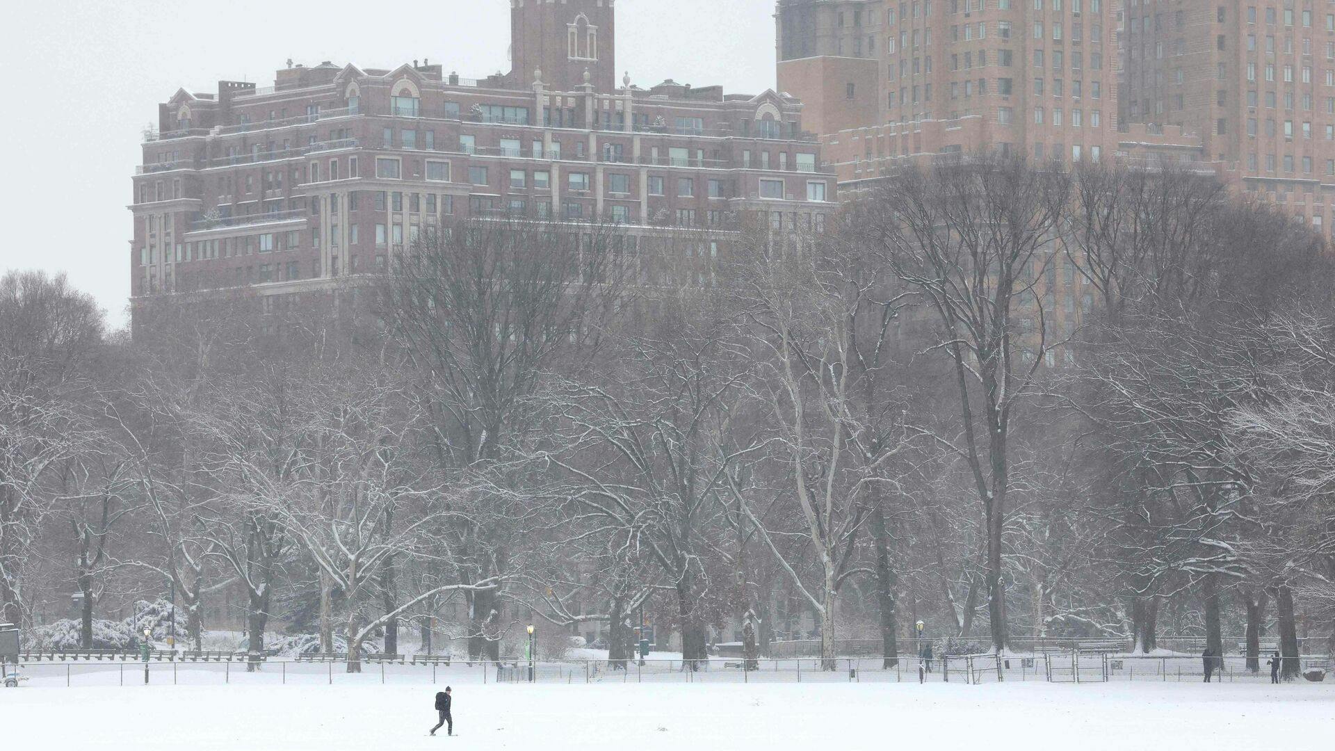 I New York har de i den grad ikke haft samme problemer med at få en hvid jul, som vi har haft i Danmark i år.
