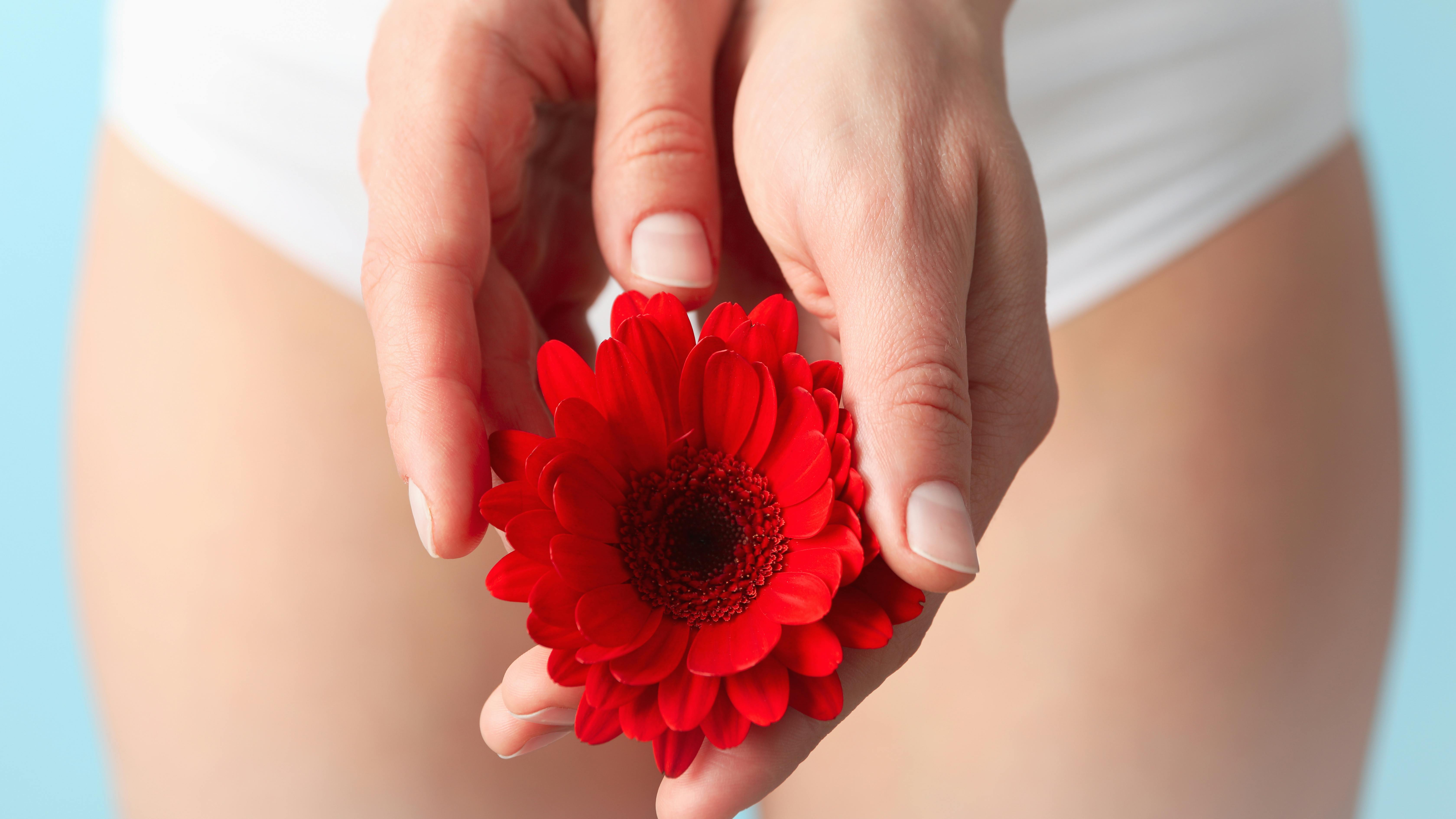 Woman in panties holding gerbera, close up