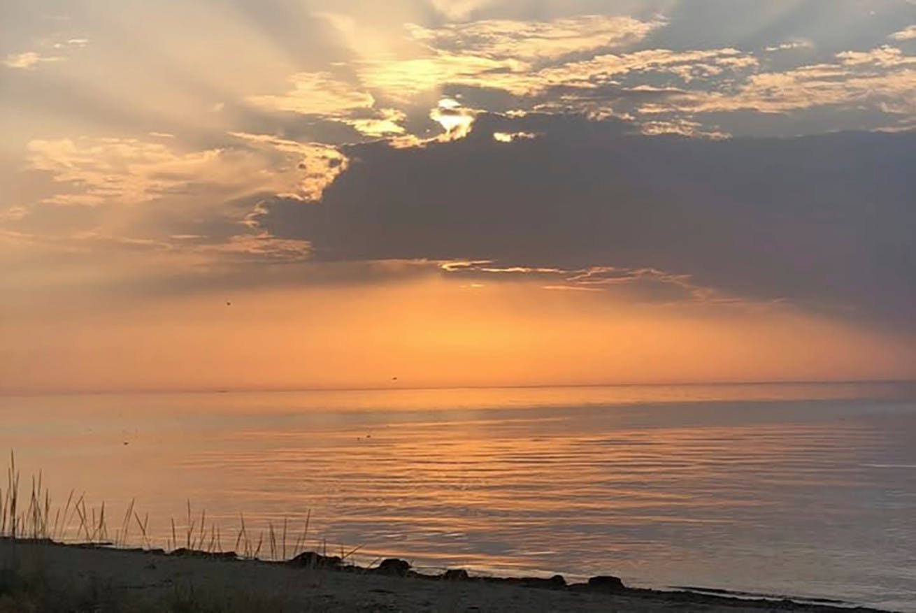 Tina Lund har ret, når hun beskriver området sådan her: – Der er smuk natur, skønt kig udover det lækre naturområde samt kig over bakkerne, hvor baggrundkulissen er Kattegat.