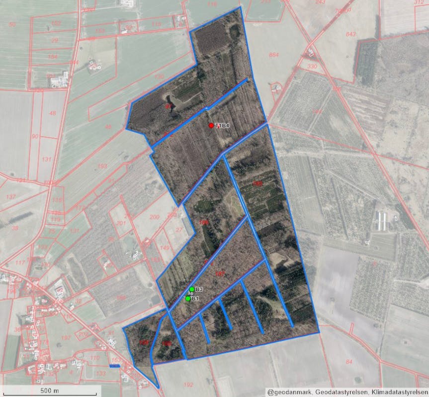 Der er masser af træer omkring Gallehus. Her er de tilhørende jordarealer markeret. Prinsen ejer også et par småmatrikler i Tønder kommune.