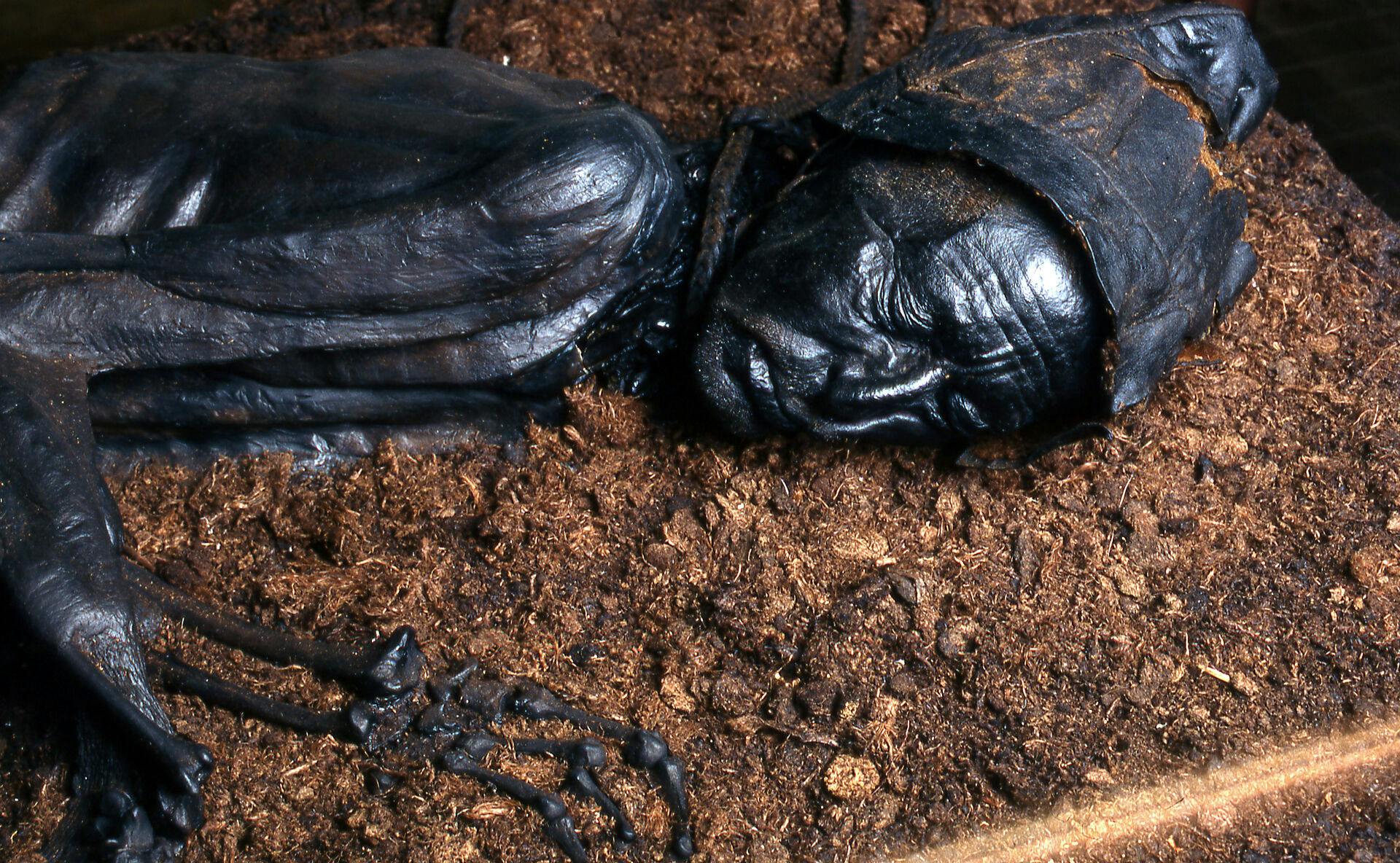 En avanceret CT-skanning viser, at det ikoniske moselig formentlig var i slutningen af 20’erne eller begyndelsen af 30’erne og ikke omkring 40, som man hidtil har troet.