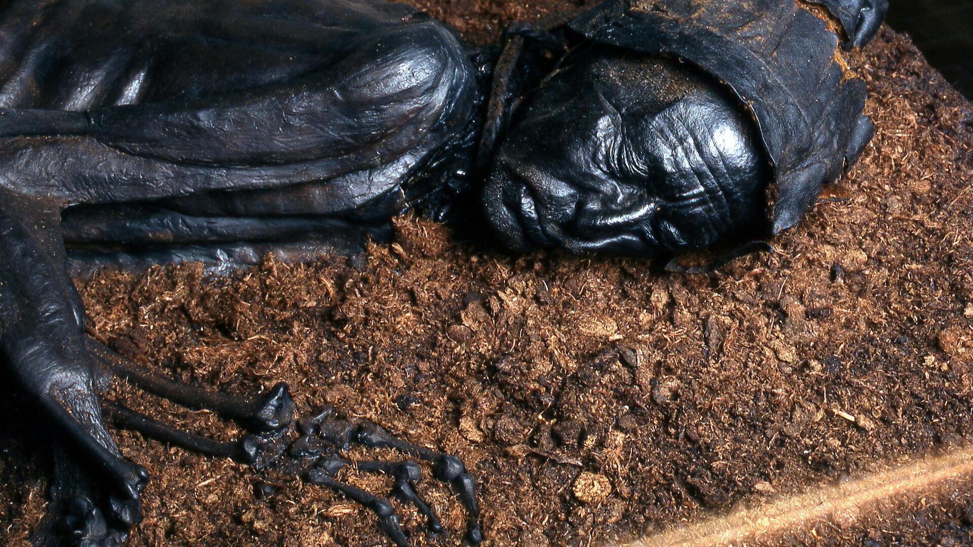 En avanceret CT-skanning viser, at det ikoniske moselig formentlig var i slutningen af 20’erne eller begyndelsen af 30’erne og ikke omkring 40, som man hidtil har troet.