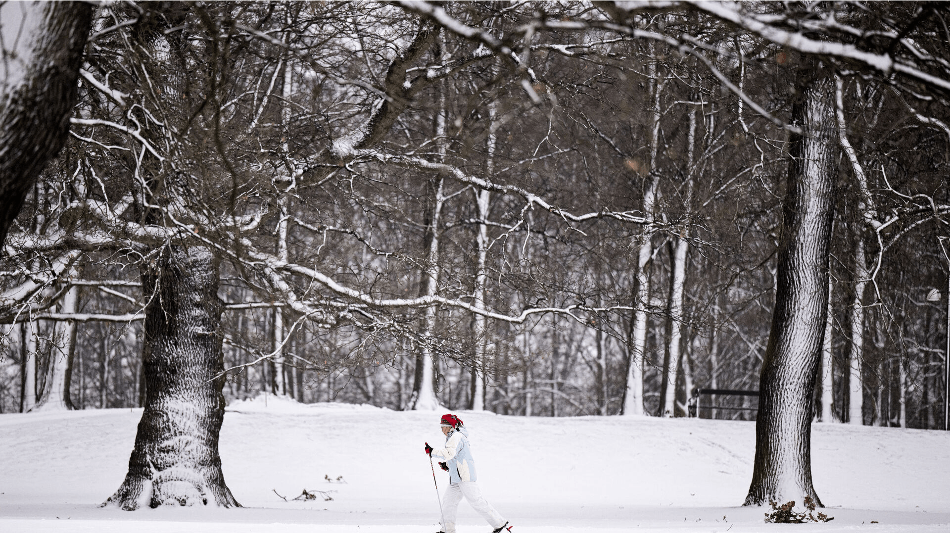 Langrendssporene er nu præpareret, så sneglade danskere nyde vintervejret på ski i udvalgte dele af landet.