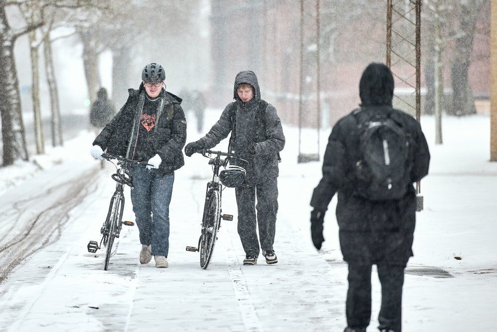 De seneste dage er der faldet store mængder sne i Danmark. (Arkivfoto). - Foto: Mikkel Berg Pedersen/Ritzau Scanpix
