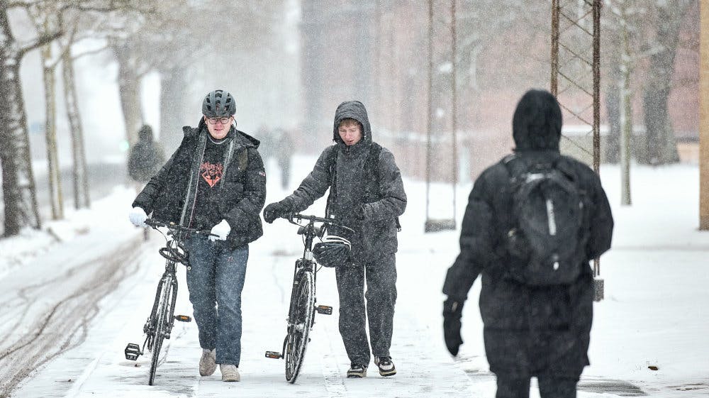 De seneste dage er der faldet store mængder sne i Danmark. (Arkivfoto). - Foto: Mikkel Berg Pedersen/Ritzau Scanpix