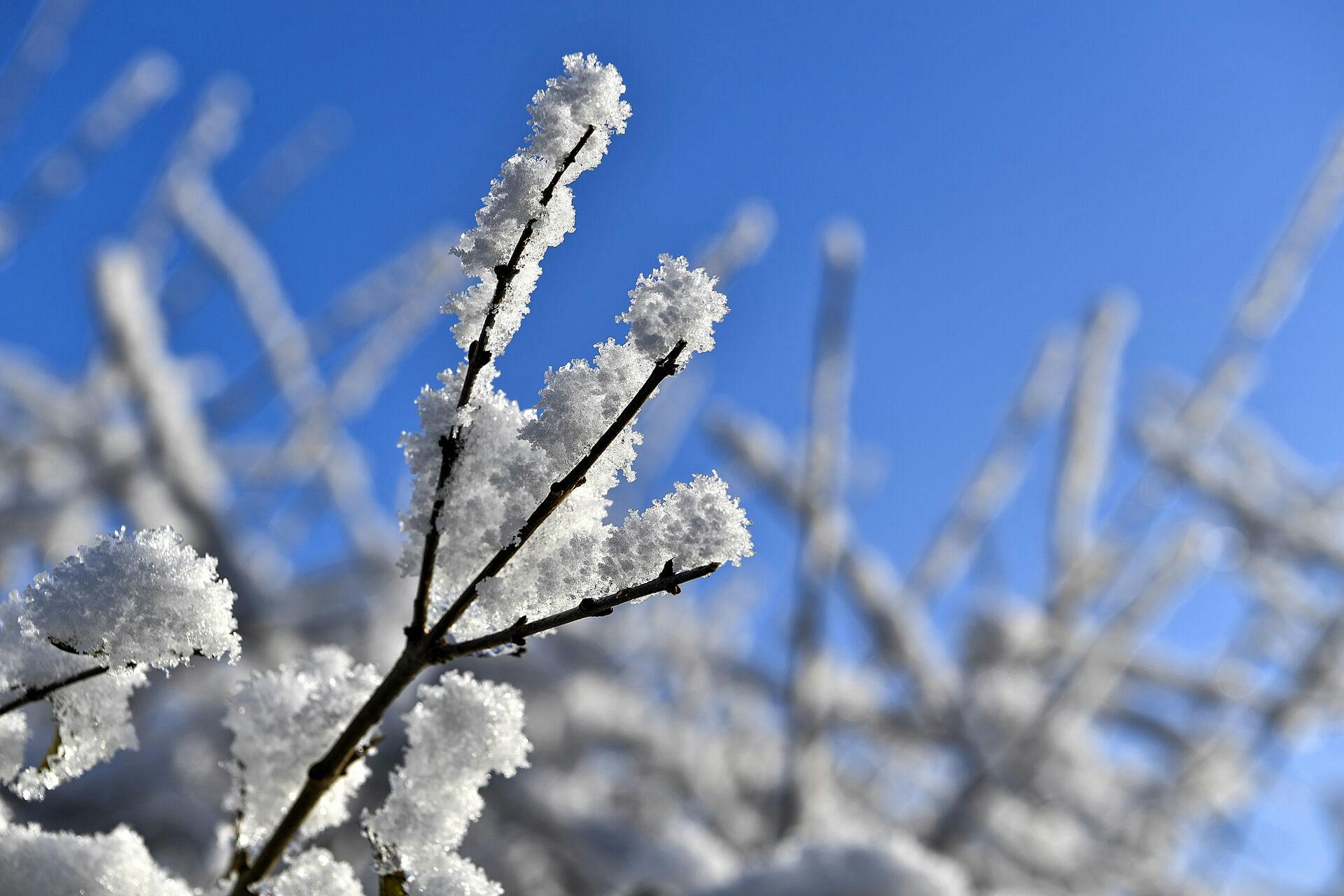 Danmark var i nat ramt af bidende kulde.