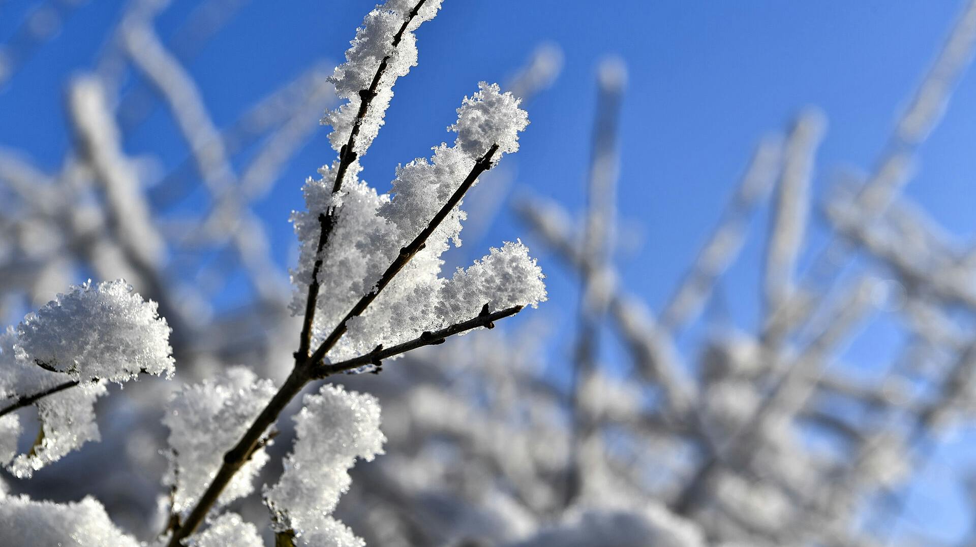 Danmark var i nat ramt af bidende kulde.