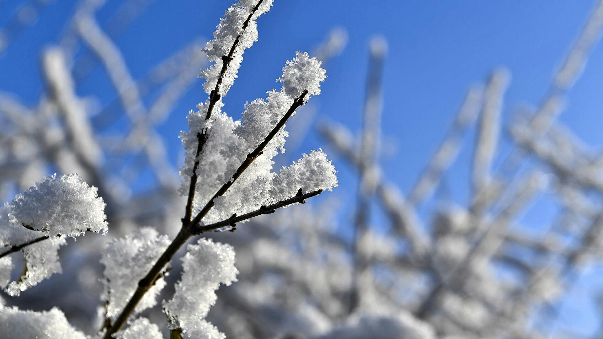 Danmark var i nat ramt af bidende kulde.