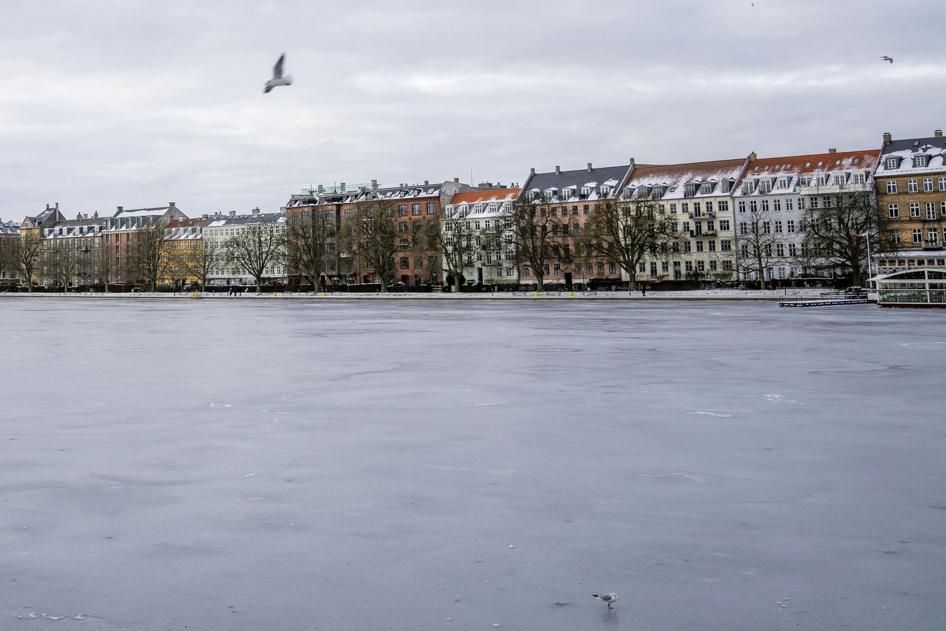 Søerne i København har fået sig et lag af is. 