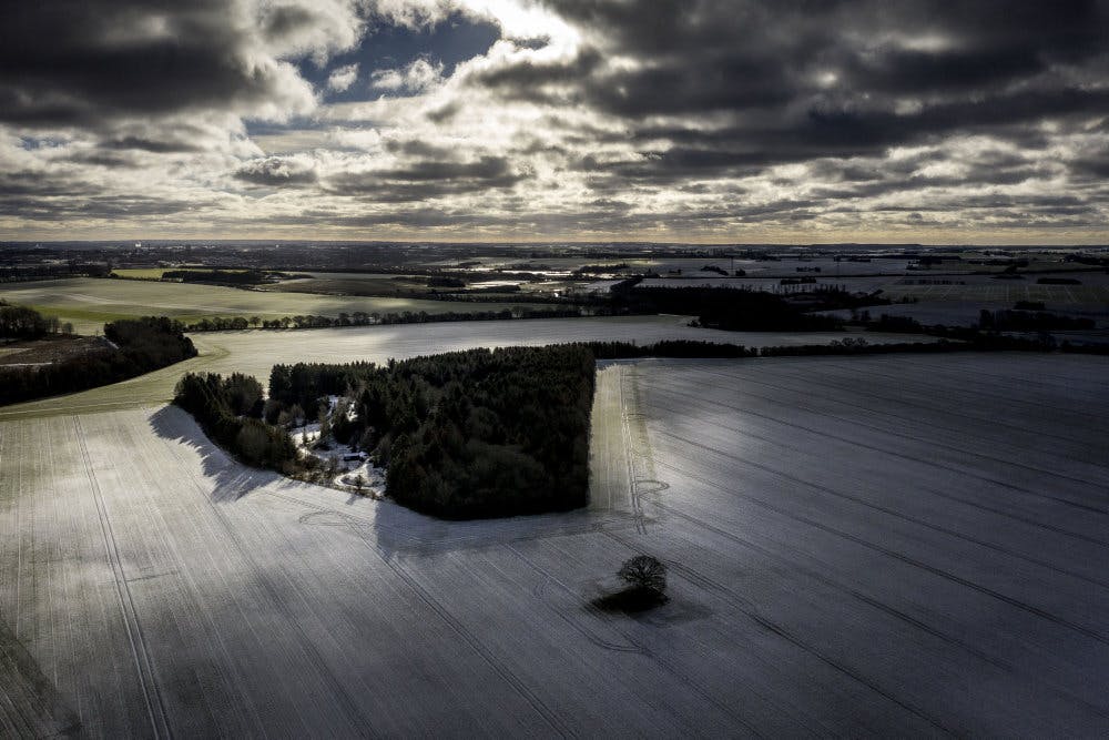 Mandag og tirsdag bliver smukke solskinsdage, inden vejret igen bliver mere skyet. (Arkivfoto). - Foto: Mads Claus Rasmussen/Ritzau Scanpix
