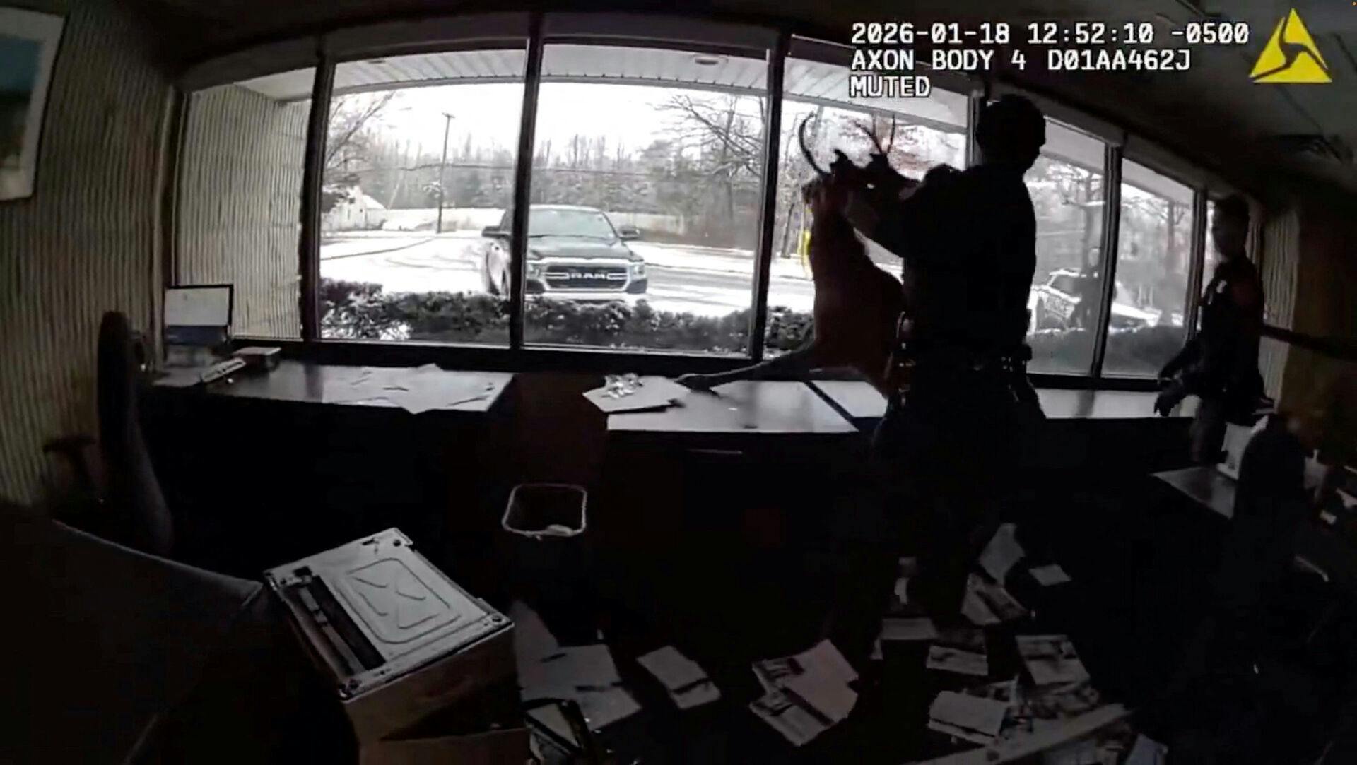 Politiet fik sin sag for med at hjælpe det stakkels dyr ud af banken.&nbsp;