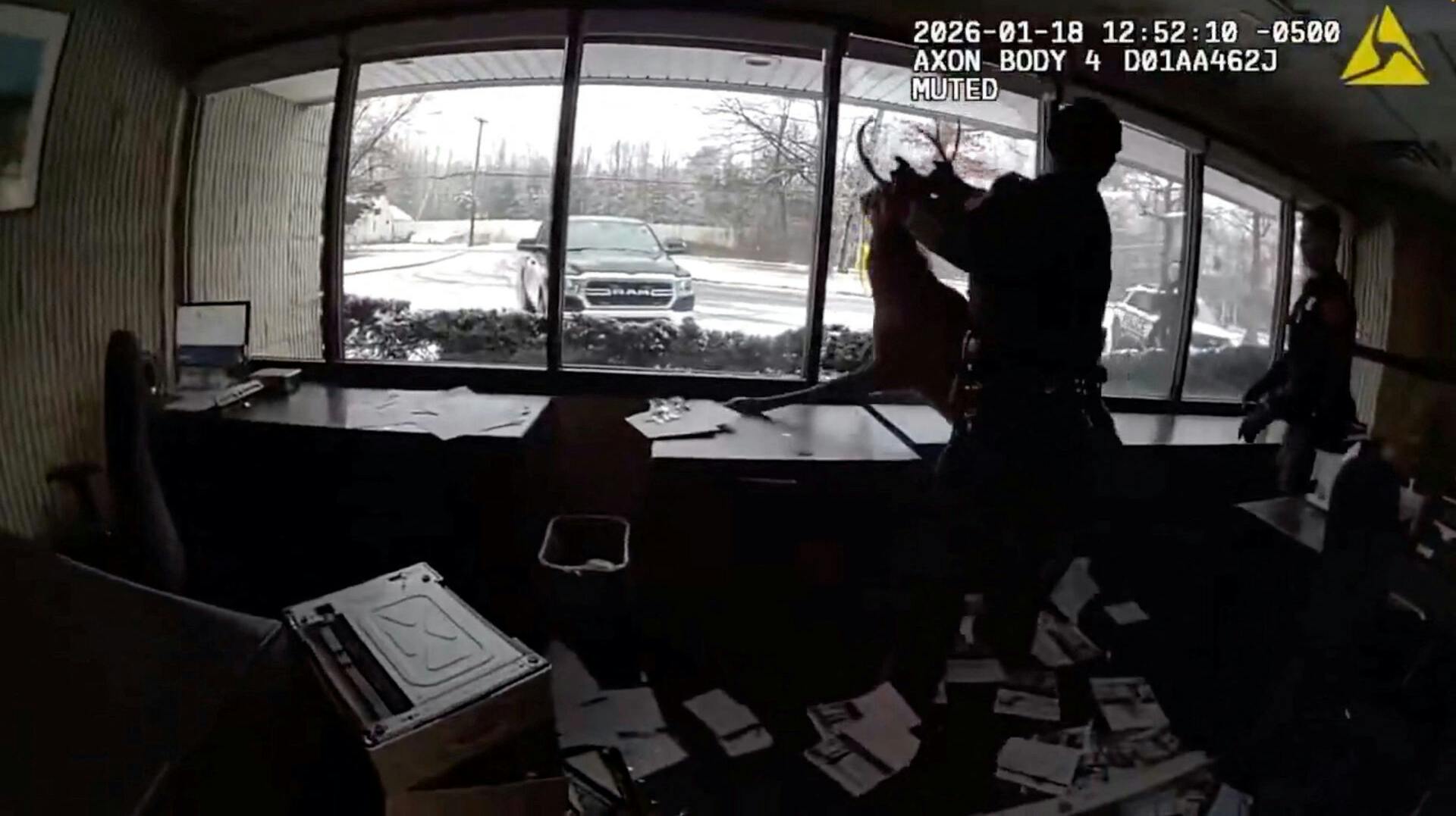 Politiet fik sin sag for med at hjælpe det stakkels dyr ud af banken. 