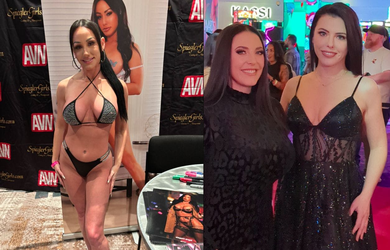 White, White og Chechik er ikke navnet på et advokatbureau, men derimod på tre af vinderne ved årets AVN Awards.