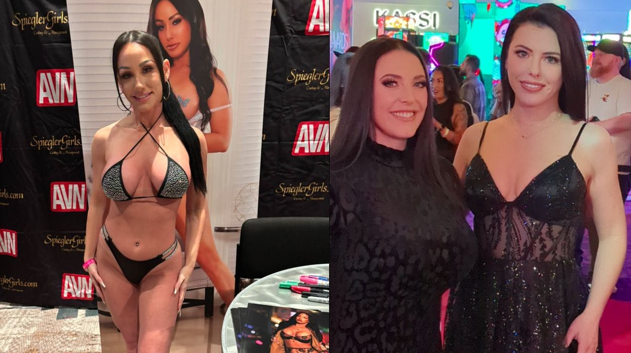 White, White og Chechik er ikke navnet på et advokatbureau, men derimod på tre af vinderne ved årets AVN Awards.