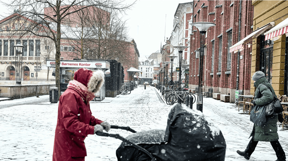 Januar har i år haft kølige temperaturer, ligesom der er faldet sne mange steder rundt omkring i landet. I Aarhus faldt der snedrys den 5. januar. 
