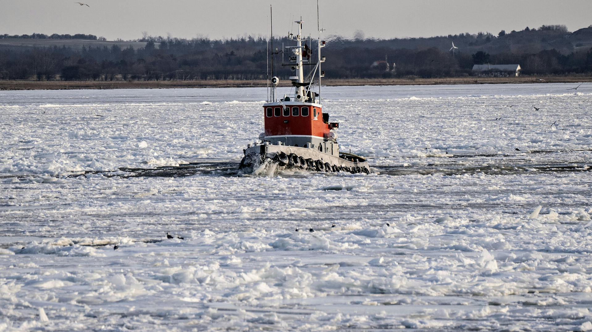 Isflagerne pakker sig tæt i de danske havne og gør det umuligt for mindre skibe at manøvrere.