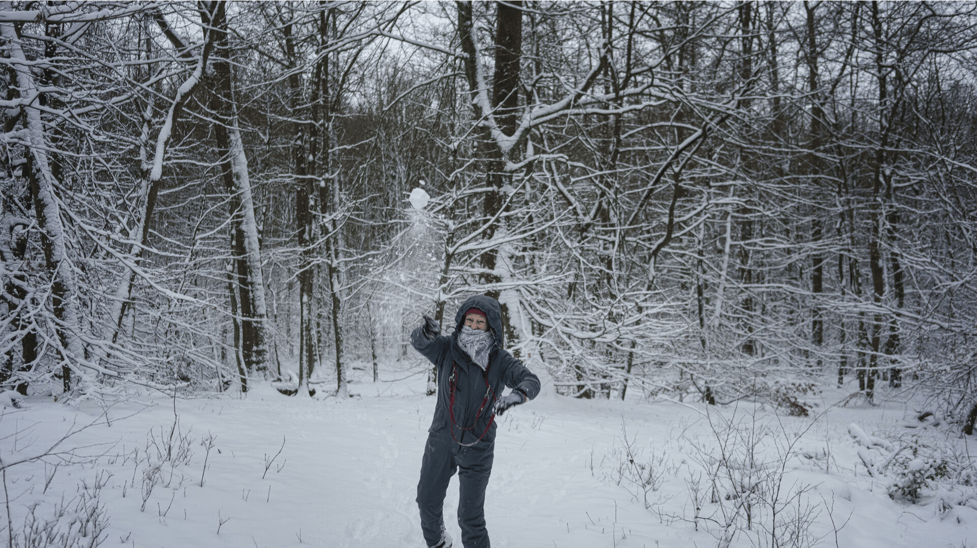 Fra om to dage kan det komme til at se sådan her ud mange steder i Danmark.