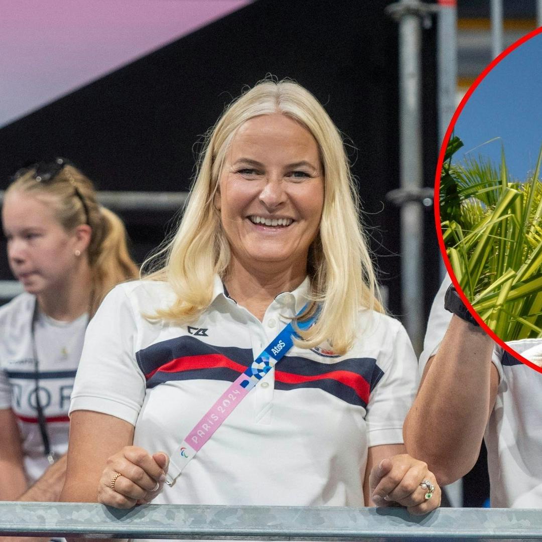 Nye dokumenter afslører, at Jeffrey Epstein og kronprinsesse Mette-Marit gik en tur sammen, da den afdøde sexforbryder besøgte Oslo.