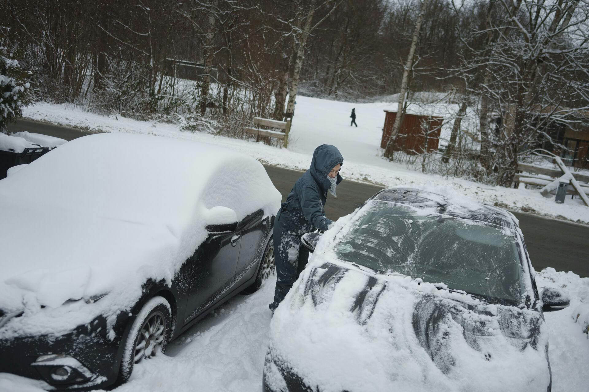 Der skrabes sne af bilerne som er faldet i løbet af natten i Hareskoven, tirsdag den 27 janaur 2026. (Foto: Liselotte Sabroe/Ritzau Scanpix)