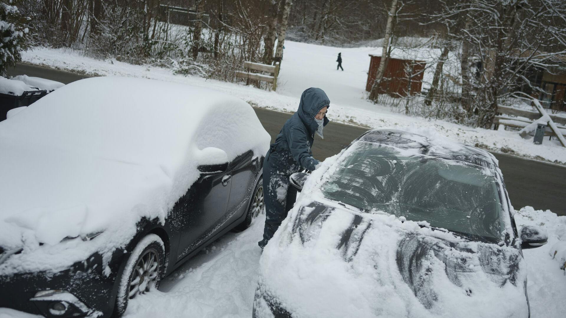 Der skrabes sne af bilerne som er faldet i løbet af natten i Hareskoven, tirsdag den 27 janaur 2026. (Foto: Liselotte Sabroe/Ritzau Scanpix)