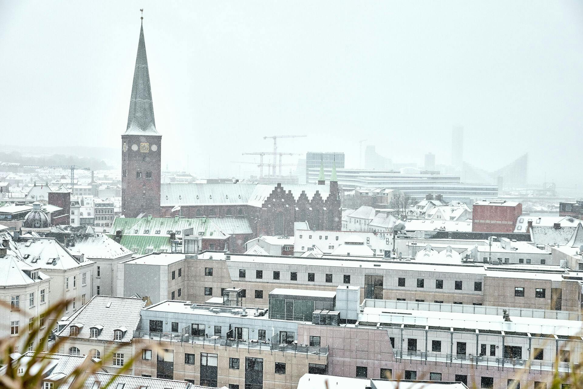 Der er faldet rigeligt med sne i Aarhus - &nbsp;ligesom der er det i store dele af landet.&nbsp;