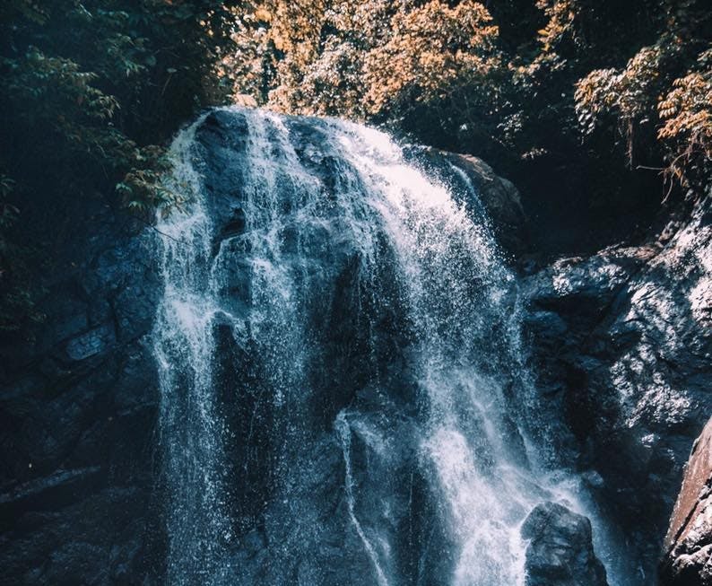 Familien kræver retfærdighed, efter den femårige piges alt for tidlige død. 