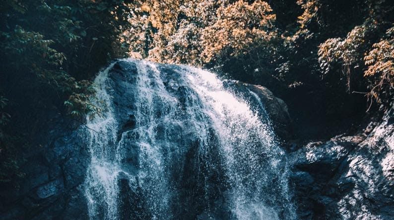 Familien kræver retfærdighed, efter den femårige piges alt for tidlige død.