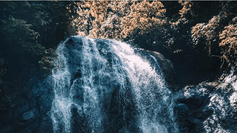 Familien kræver retfærdighed, efter den femårige piges alt for tidlige død.