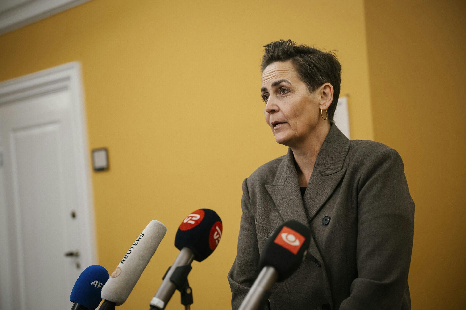 Pia Olsen Dyhr (SF) ankommer til møde i Det Udenrigspolitiske Nævn på Christiansborg i København, fredag den 23. januar 2026. Kongerigets forhold til USA er på dagsordenen. (Foto: Emil Nicolai Helms/Scanpix 2026)